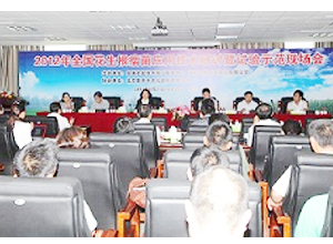 凯时娱乐成功主办2012年全国花生根瘤菌应用技术研讨暨试验示范现场会