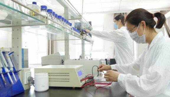 一个女企业家的现代农业之梦——访凯时娱乐董事长徐志文