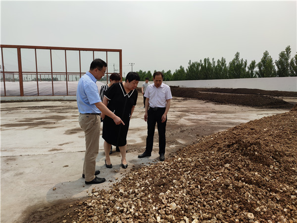 农业农村部微生物肥料和食用菌菌种质量监督检验测试中心李俊主任、姜昕主任来凯时娱乐公司调研、指导工作
