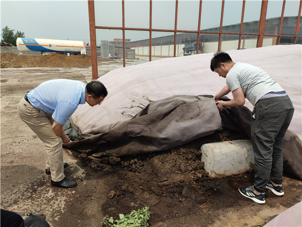 农业农村部微生物肥料和食用菌菌种质量监督检验测试中心李俊主任、姜昕主任来凯时娱乐公司调研、指导工作