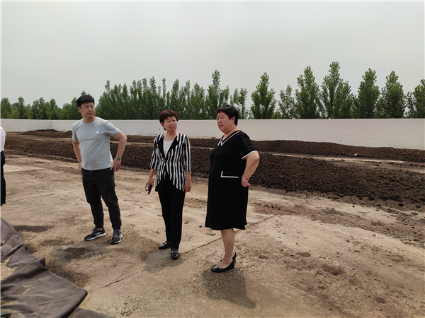 农业农村部微生物肥料和食用菌菌种质量监督检验测试中心李俊主任、姜昕主任来凯时娱乐公司调研、指导工作